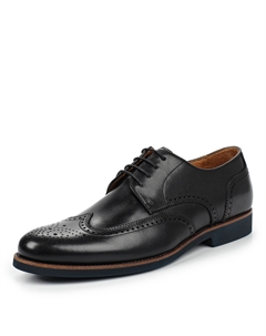 Броги Thomas munz