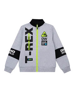Толстовка трикотажная для мальчиков Playtoday tween