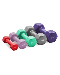 Виниловая гантель 10кг Digger HD51D3A-10 Hasttings