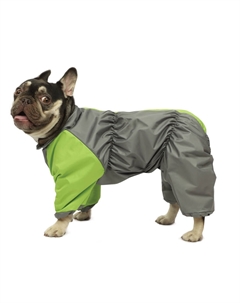 Комбинезон демисезонный Французский бульдог (Серо-салатовый, M, Унисекс) Gamma