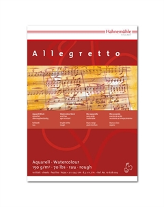 Альбом-склейка для акварели Hahnemuhle "Allegretto" с/з "холст" А3 10 л 150 г Hahnemuhle fineart