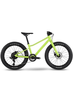 Велосипед детский Twostroke AL 20 V1 X4 1x8, 2023, TS20 Bmc