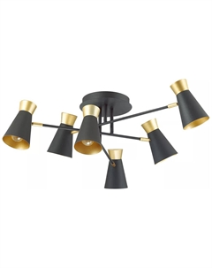 Люстра потолочная LIAM, матовый черный/золотой (3790/6C) Lumion