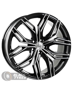 Литой диск TL 205 8.5x20/5x112 D66.6 ET42, Черные Tech line