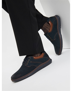 Дерби Salamander