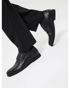 Дерби Salamander