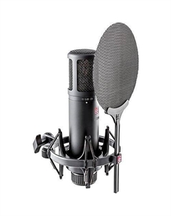 Конденсаторный микрофон sE Electronics sE2200 Large Diaphragm Cardioid Condenser Microphone Se electronics