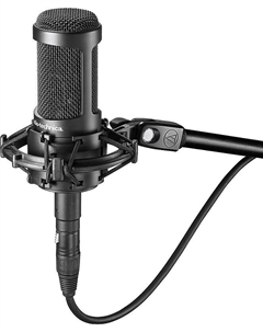 Конденсаторный микрофон Audio-Technica AT2050 Large Diaphragm Multipattern Condenser Microphone Audio-technica