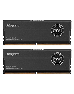 Оперативная память Team Group T-Force Xtreem, 32 Гб (2 х 16Гб), DDR5, 8000 МГц, FFXD532G8000HC38DDC01, черный Team group