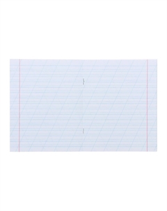 Набор тетрадей 12 листов в косую линейку Calligrata