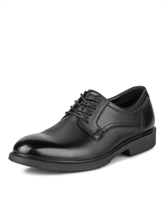 Дерби Salamander