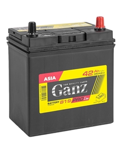 Автомобильный аккумулятор Asia PRO-Line 42 Ач обратная полярность B19L Ganz
