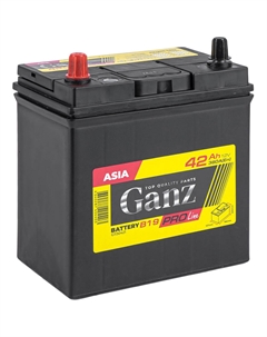Автомобильный аккумулятор Asia PRO-Line 42 Ач прямая полярность B19R Ganz