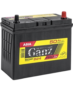 Автомобильный аккумулятор Asia PRO-Line 50 Ач обратная полярность B24L Ganz