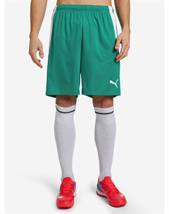 Шорты мужские teamLIGA, Зеленый Puma