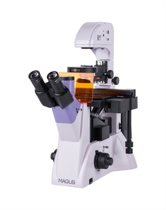 Микроскоп MAGUS Lum VD500 LCD Magus