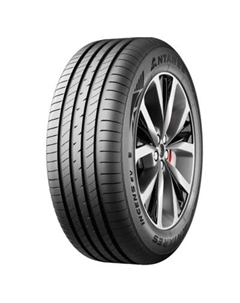 Шины 205/55 R17 Ingens EV 91V Antares