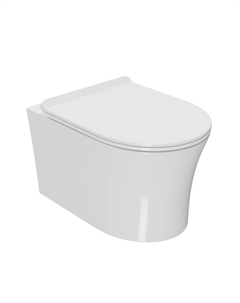 Унитаз подвесной Вега PN41711 безободковый, быстросъемное тонкое сиденье с микролифтом, белый Point