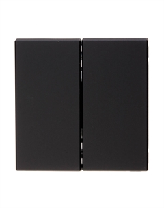 Выключатель ArtGallery двухклавишный встраиваемый карбон (GAL001051) Systeme electric