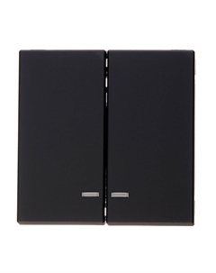 Выключатель ArtGallery двухклавишный встраиваемый карбон с подсветкой (GAL001053) Systeme electric