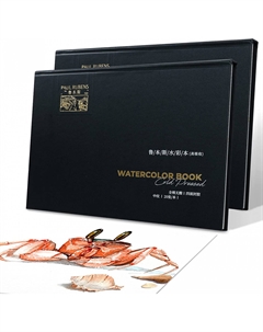 Скетчбук-склейка для акварели "Черный" 150х293 мм 20 л 300 г, хлопок, среднезернистая Paul rubens