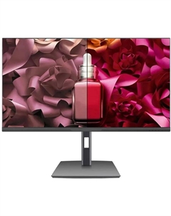 Монитор 23.8" MF-2404AH(100) IPS, 1920x1080 (16:9), 300кд/м2, 100 Гц, 4 мс, 178°/178°, VGA, HDMI, черный (MF-2404AH(100)) Pinebro