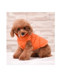 Куртка для собак Пижон