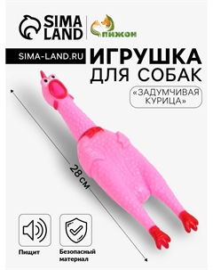 Игрушка пищащая Пижон