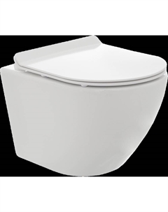 Унитаз подвесной AQM2002 безободковый, с микролифтом, белый Aquame