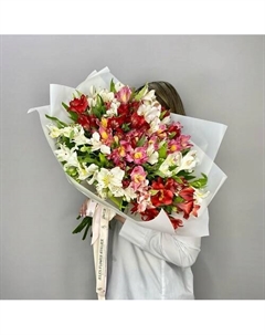 25 разноцветных альстромерий Jules flower atelier