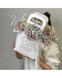 «Монпасье» сумка с разноцветной гипсофилой Jules flower atelier