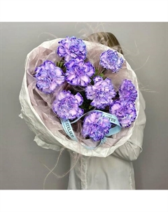 «Neon» букет из диантусов Jules flower atelier