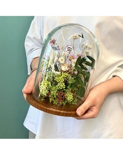 Клош с сухоцветами и стабилизированными цветами Jules flower atelier