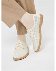 Дерби Salamander