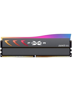 Оперативная память Xpower Storm SP016GXLWU60CFSK DDR5 - 1x 16ГБ 6000МГц, DIMM, ECC, Gray, Ret Silicon power