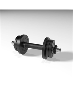 Гантель разборная Sportcom D26 16,5кг Barfits