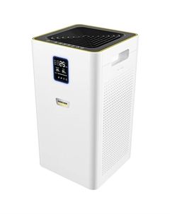 Очиститель воздуха AF30 (1.024-821.0) Karcher