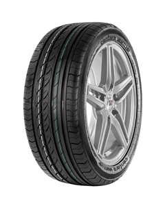 Шины Centara