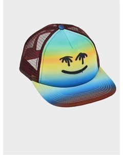 Бейсболка Big Shadow Palm Spray Face Molo