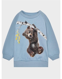 Свитшот с принтом "мишка на ветке" Molo