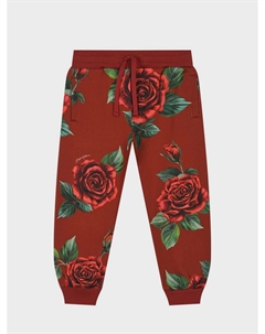 Спортивные брюки с принтом "розы" Dolce&gabbana