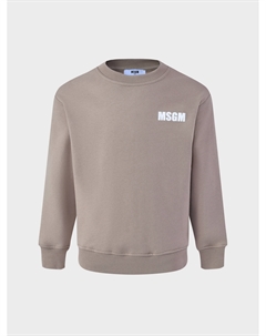 Свитшот с лого, бежевый Msgm