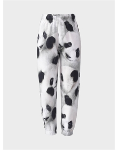 Спортивные брюки с принтом "панды" Molo