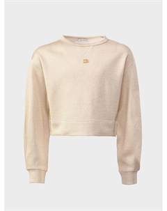 Свитшот с золотым лого, бежевый Dolce&gabbana