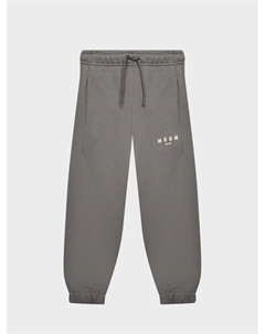 Спортивные брюки с лого, серые Msgm