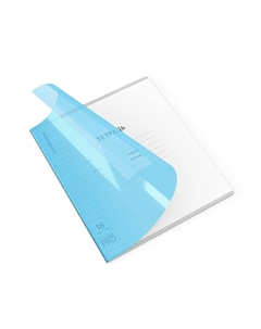 Комплект тетрадей 10 шт. 18 листов, линейка, с пластик.обл. Erich krause