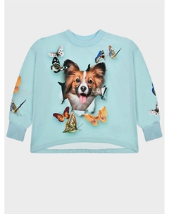 Толстовка с принтом "собака" Molo