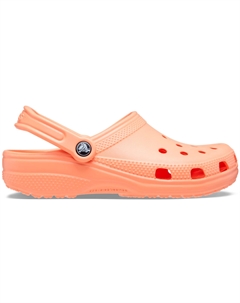 Сланцы и сандали Classic Crocs