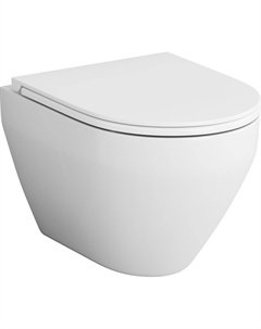 Унитаз подвесной Spirit V2.0 FlashClean с микролифтом Am.pm.