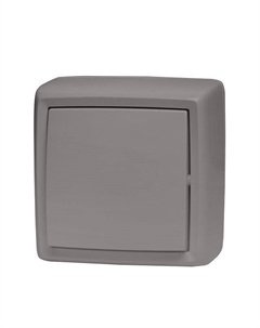 Выключатель 1-клавишный DRESDEN 10А серый Нет марки
